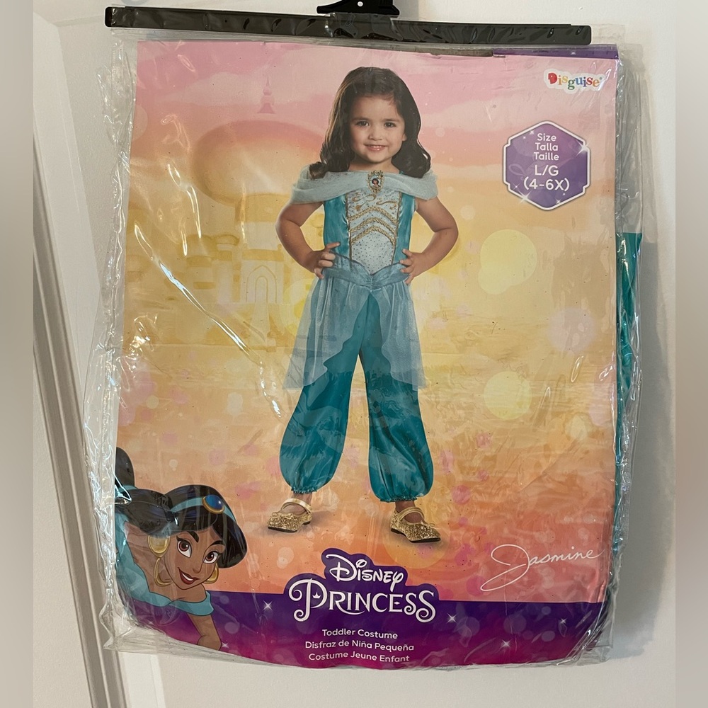 Disney Princess - Jasmine Costume